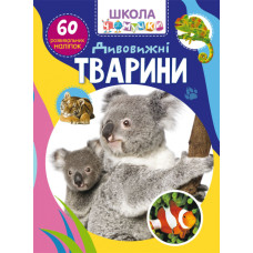 Школа Чомучки+наліпки