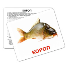 КД Великі картки Мешканці водойм