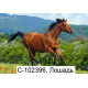 Пазли 1000 CL (14шт)