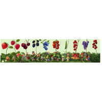 Пазли Гноми і Ягоди 13548